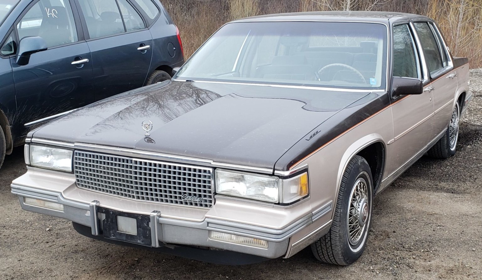 Home Nicklin Auto Parts & Recycling